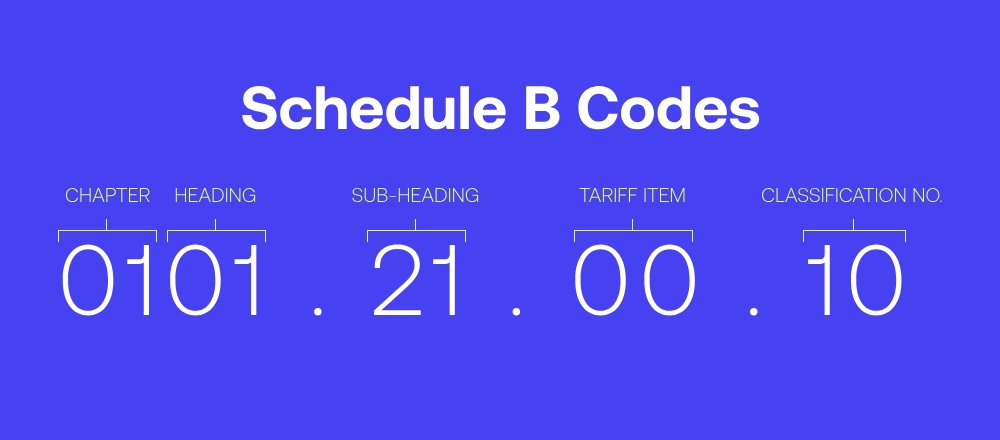 Schedule B Codes format. Source: iCustoms